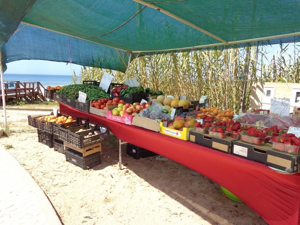 undefined Sunshine CIP 6