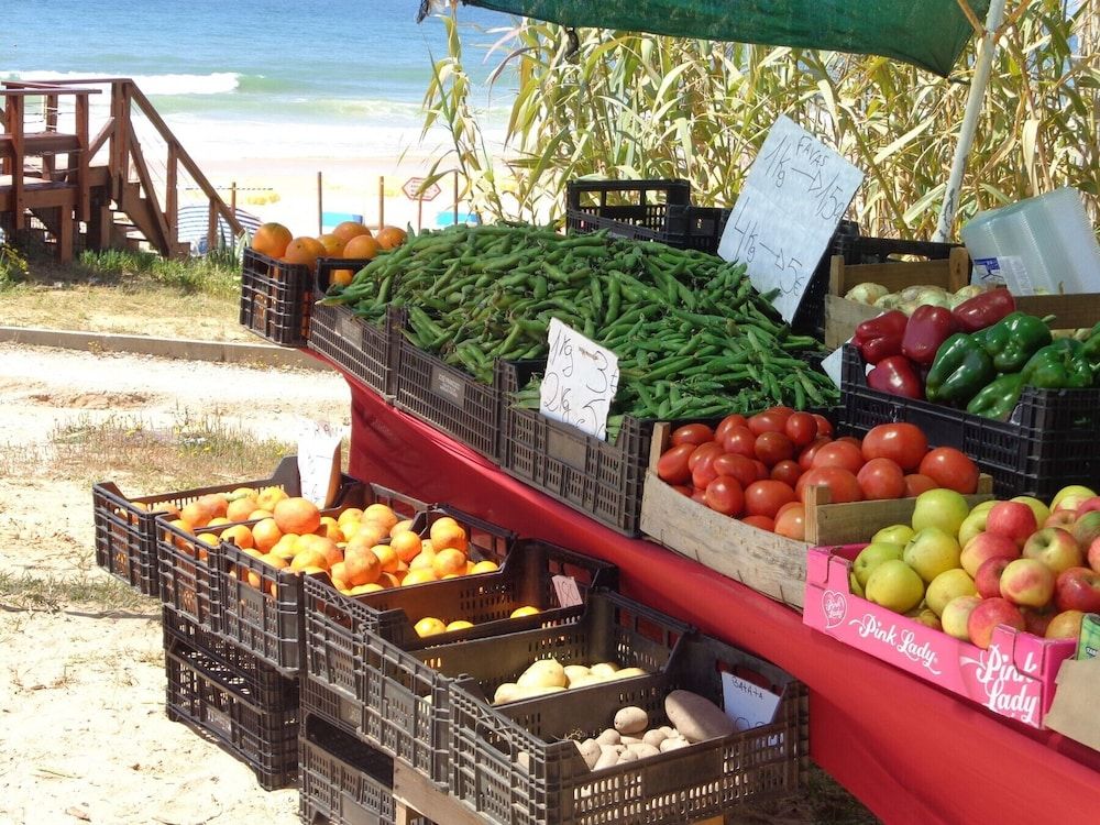 undefined Sunshine CIP 2