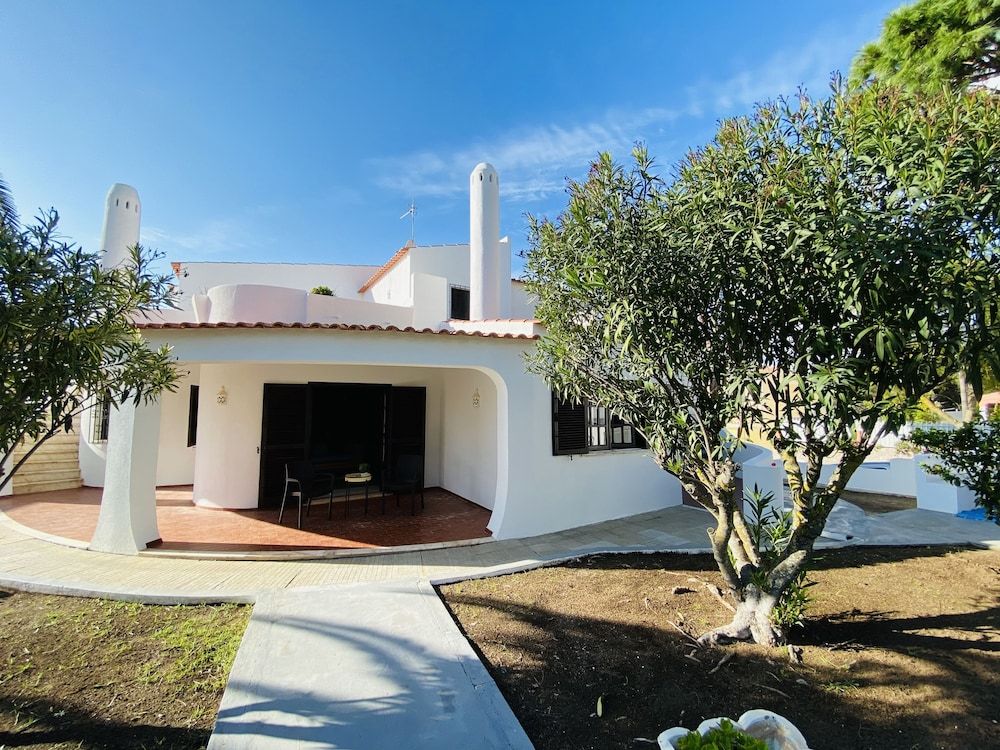 undefined Azinheira CIP 4