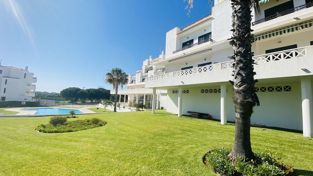 undefined Tangerinne CIP 2