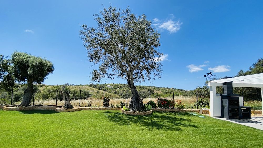 undefined Eden CIP 10