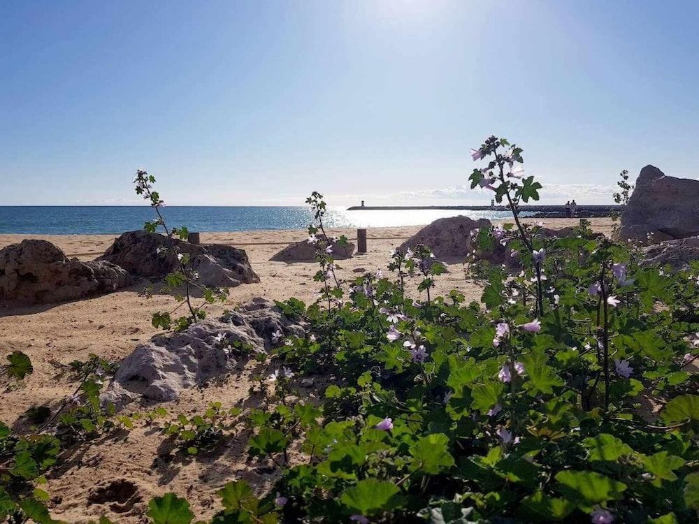 Albufeira Ocean Balcony 63 Apartment 19