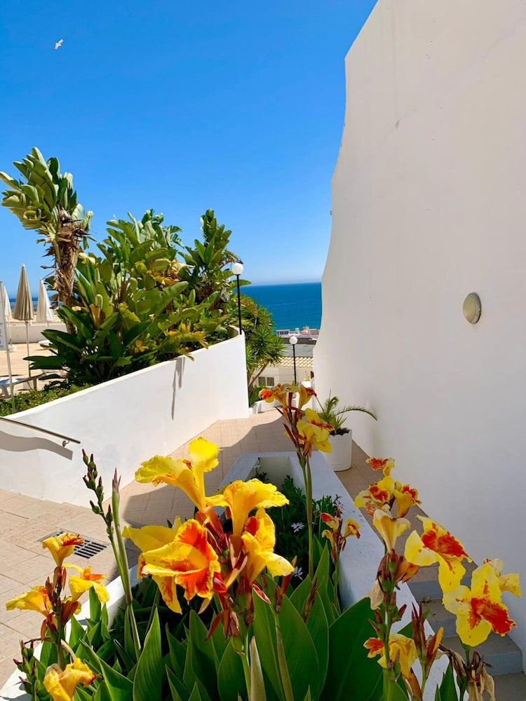 undefined Albufeira One Step to the Beach 13 10