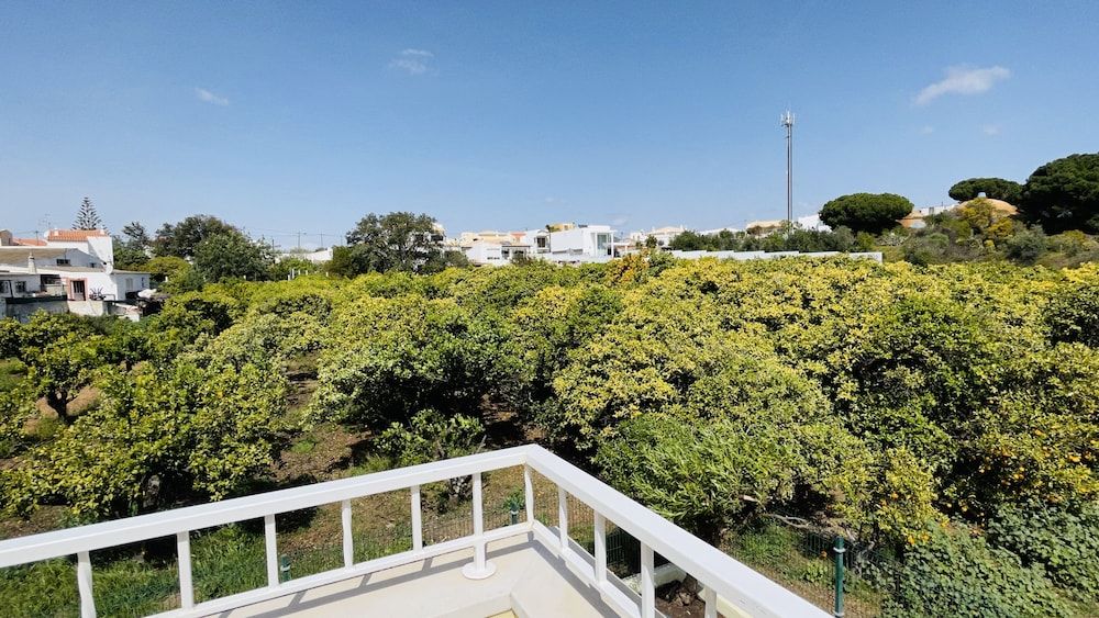 undefined Lara Lima CIP 2