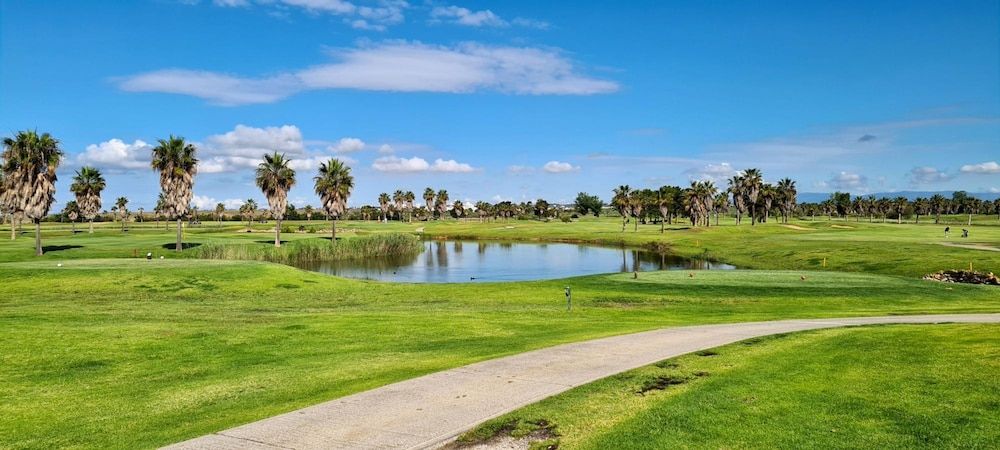 undefined Albufeira Modern Sea View Home 33 4