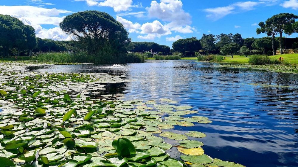 S o Rafael Beach House Apartment 10