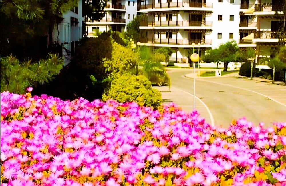 undefined Penthouse Pine Sun Park - Holidays - Acoteias - Albufeira