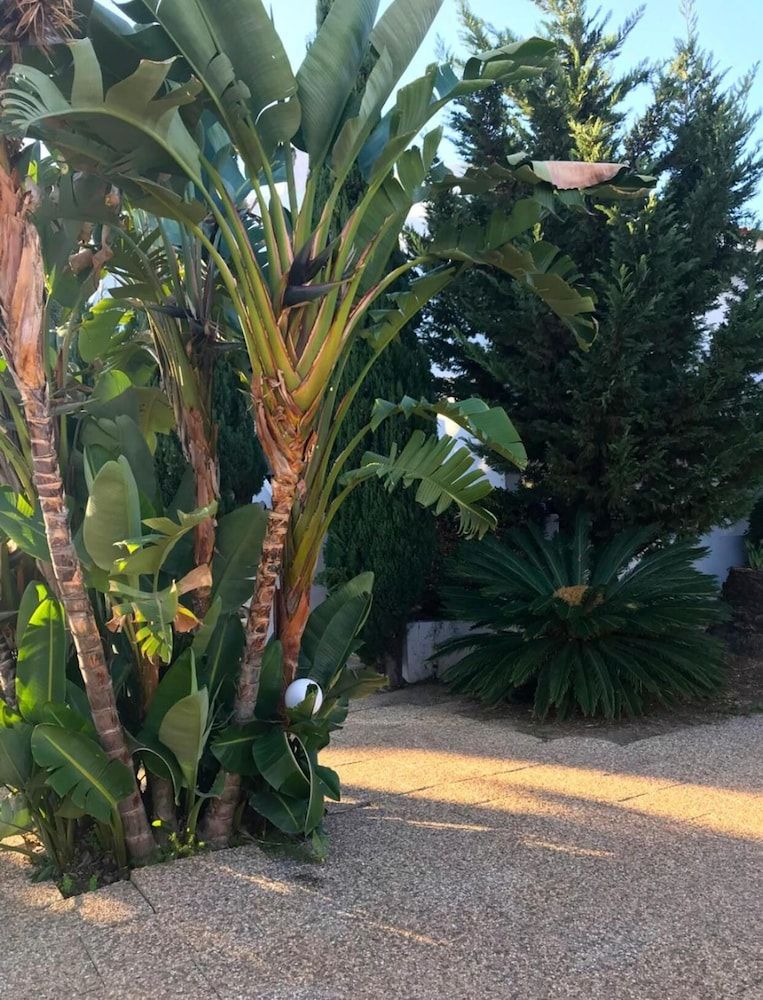 undefined Solar de São João - Apartamentos Turísticos 9