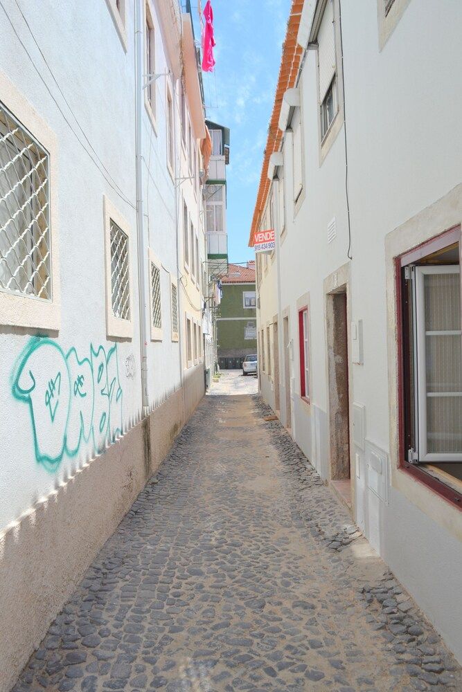 undefined RH Factory 15 3