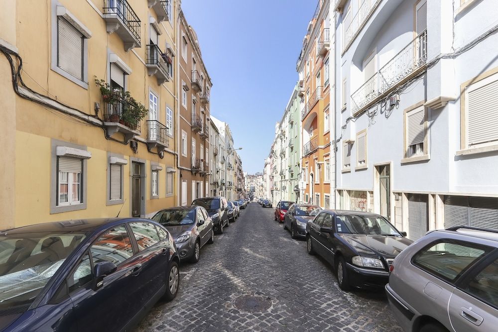 undefined Red Almirante by Homing 3