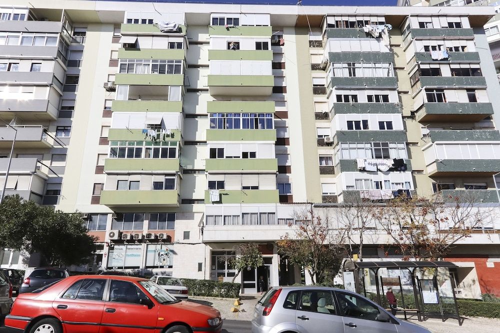 undefined Olaias Classic by Homing 2