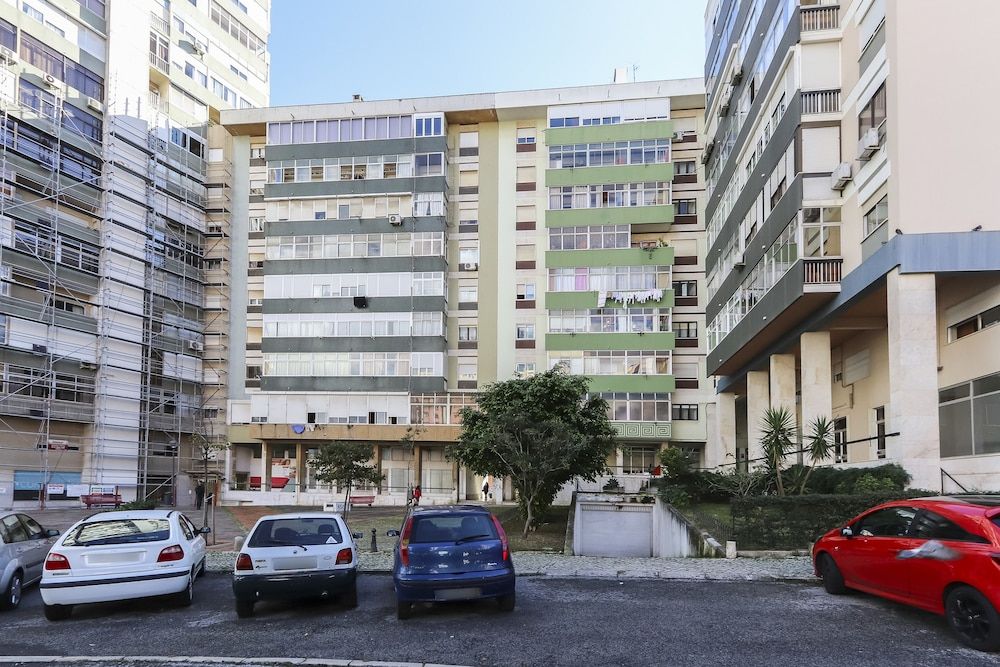 undefined Olaias Classic by Homing 3