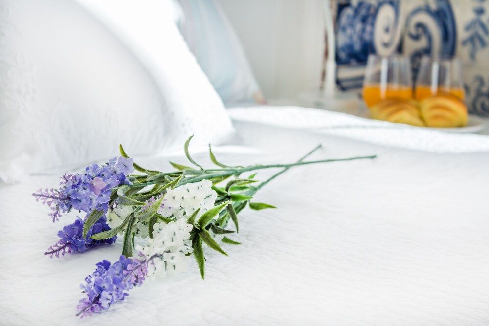 undefined Coeur de Fern 8