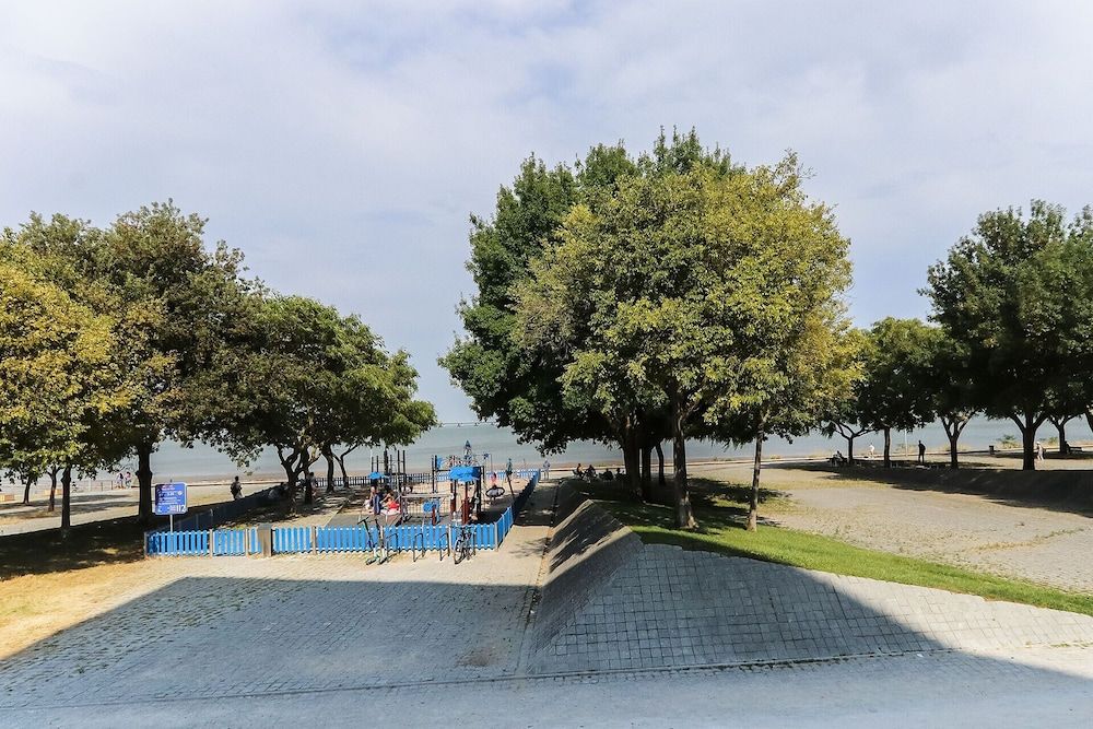 undefined Expo Premium by Homing 5