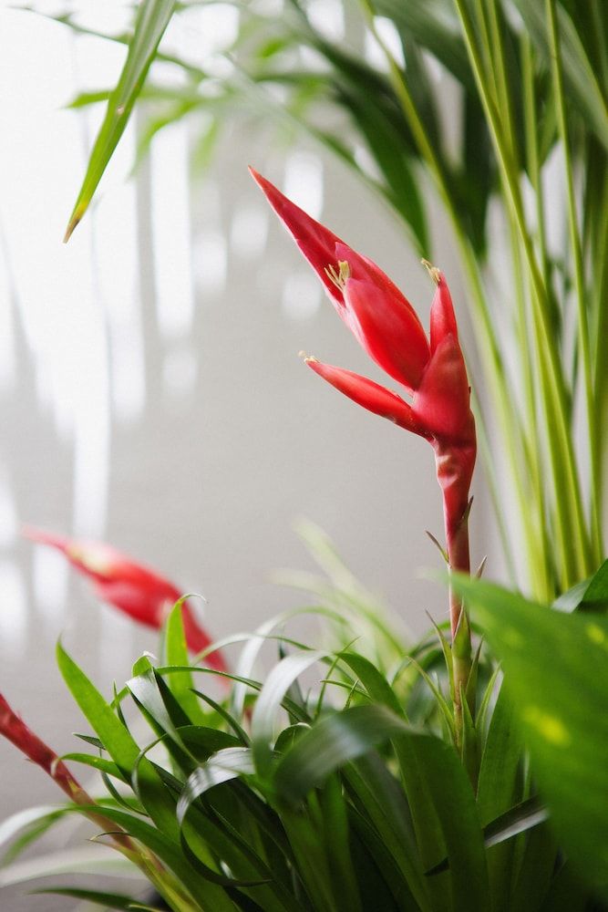 undefined Lovely Spot Penha de França 5