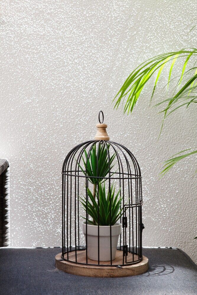 undefined Lovely Spot Penha de França 4