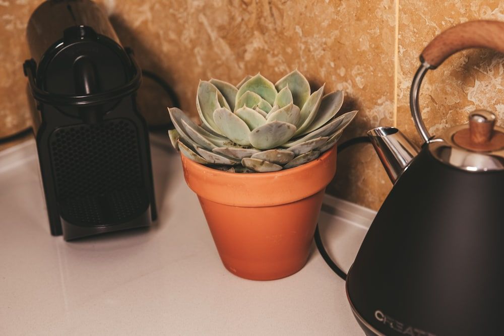 STAY&CO Lisbon Marques de Pombal Classic Apartment, 1 Bedroom 8