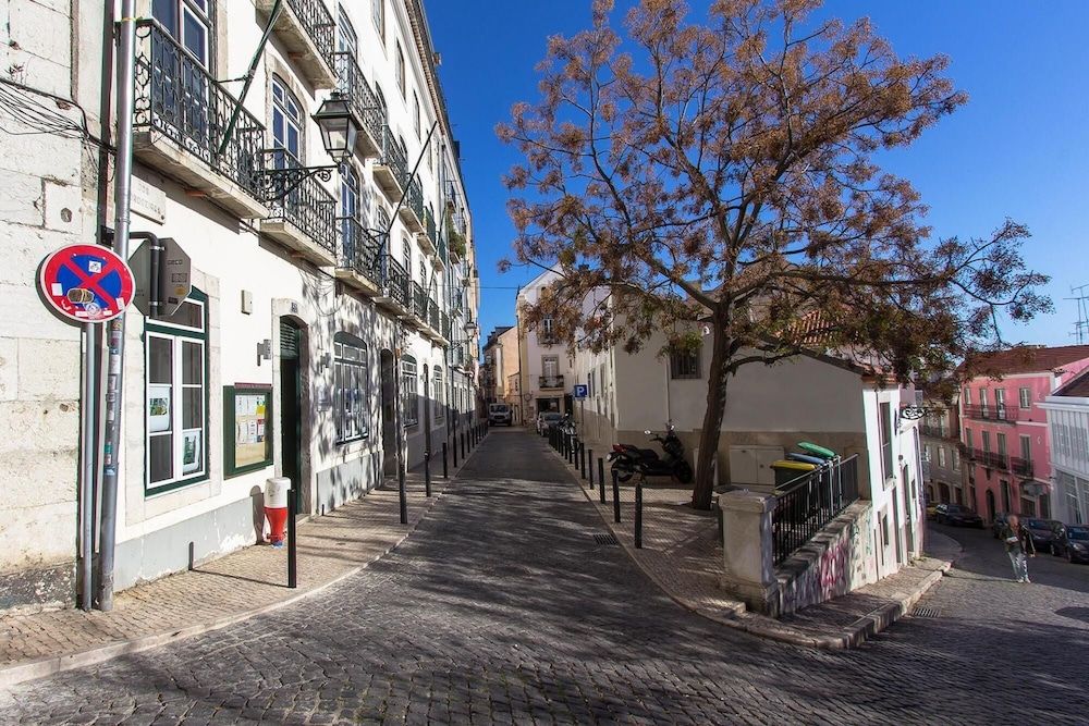 undefined Bright Santa Catarina by Homing 4