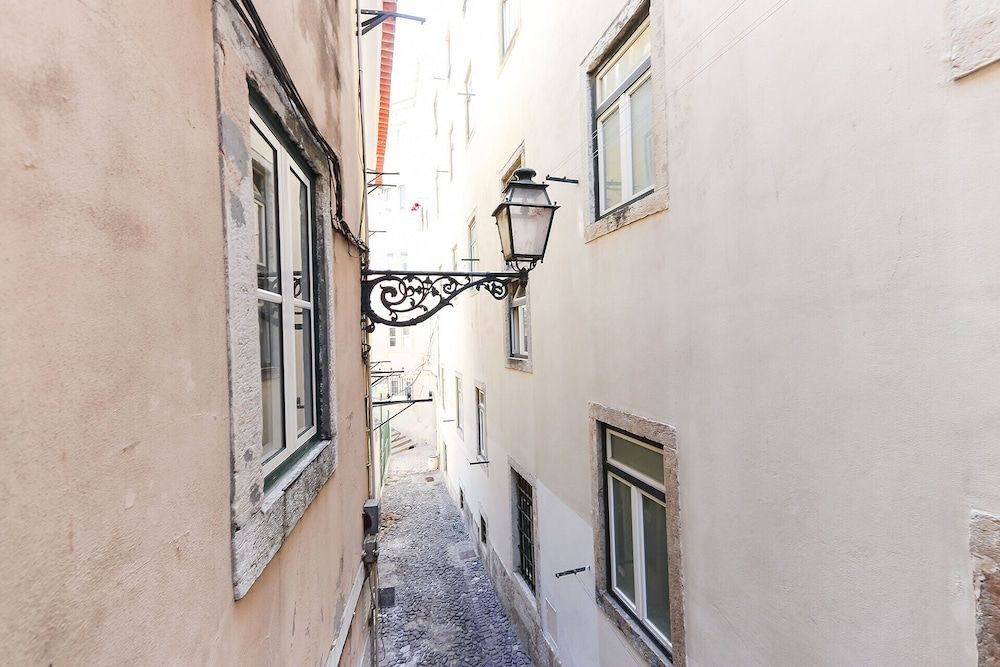 undefined Downtown Stylish by Homing 2