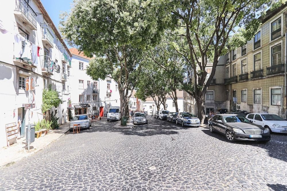 undefined Castelo Premium by Homing 3