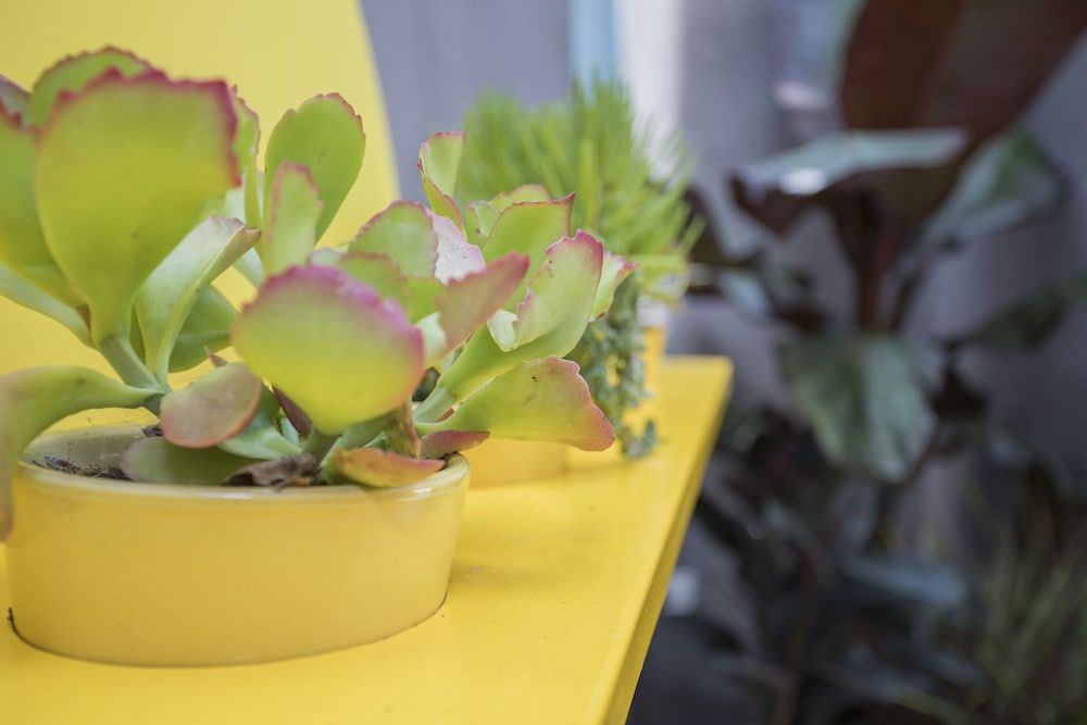 undefined Liiiving - Clérigos Terrace Apartment 5