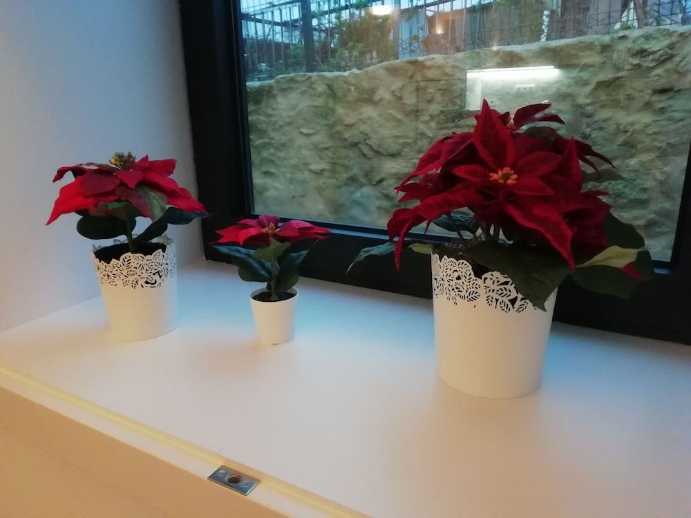 A Window to Porto Deluxe Apartment, 1 Bedroom 23