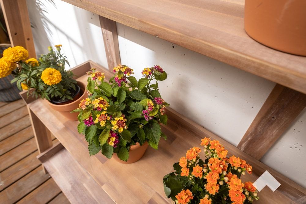 undefined Almad1 · Artsy Retreat in the Heart of Porto 2