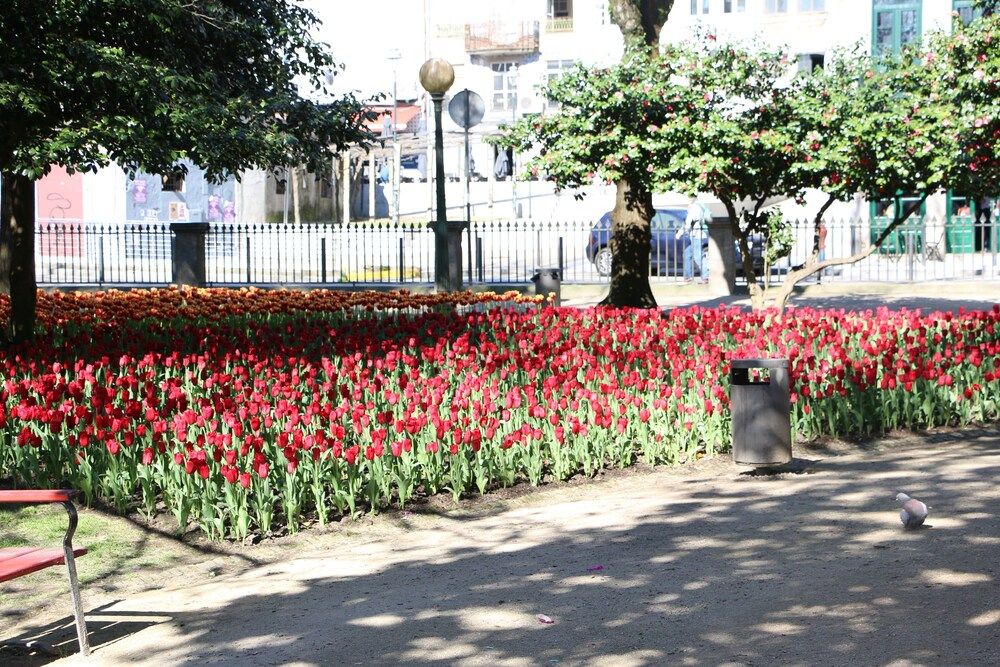 undefined Oporto Invite São Lázaro Charming 4