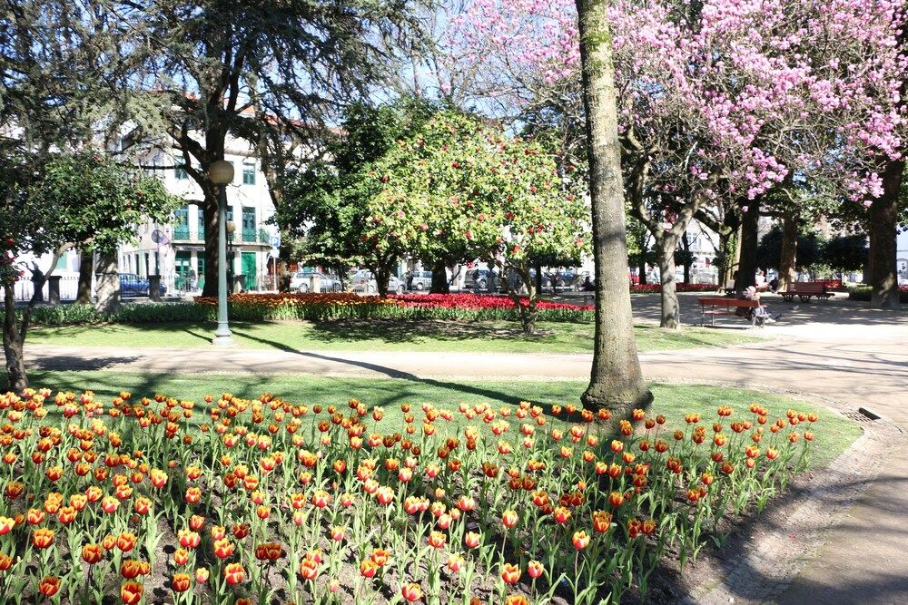 undefined Oporto Invite São Lázaro Charming 3