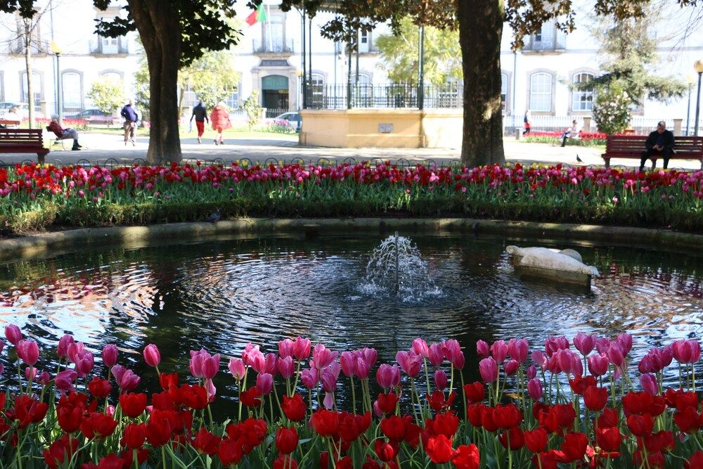 undefined Oporto Invite São Lázaro Charming 2