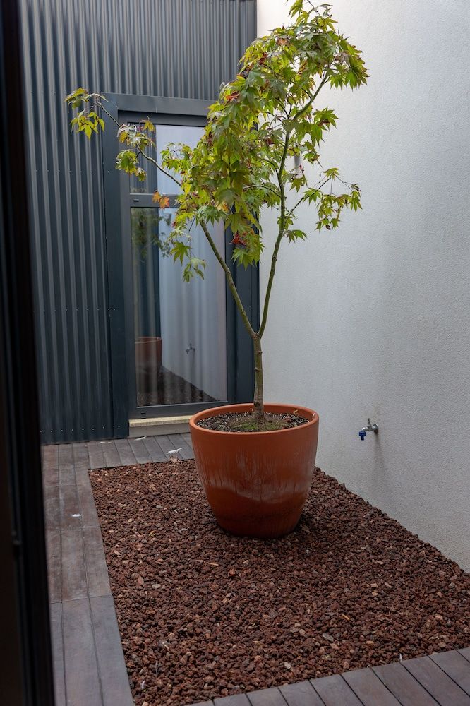 undefined Oporto Trendy Formosa 6