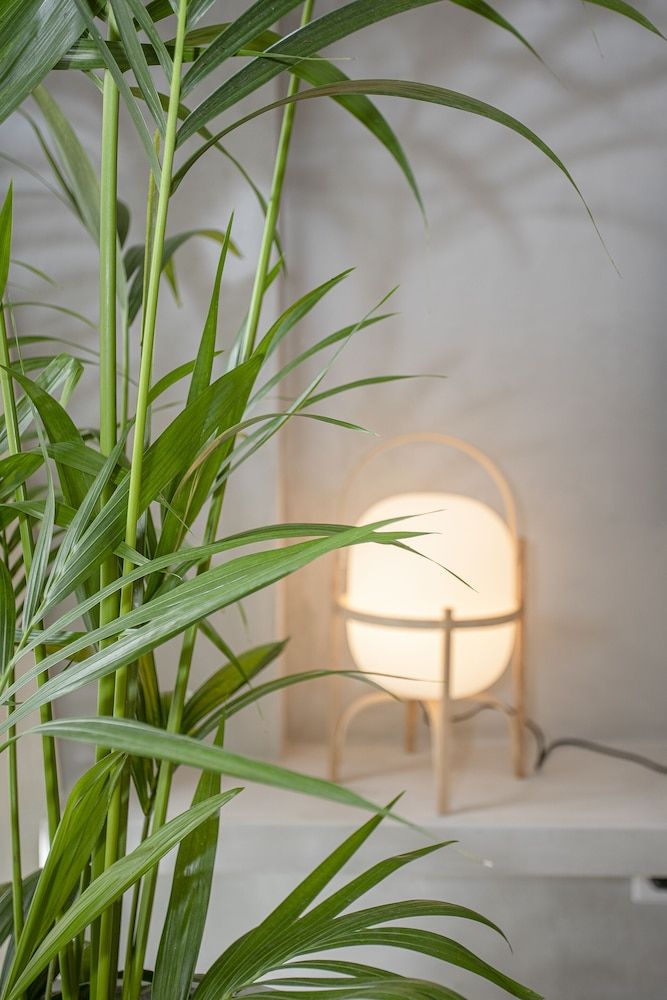 Liiiving - Bolhão Trendy Apartment III Apartment 16