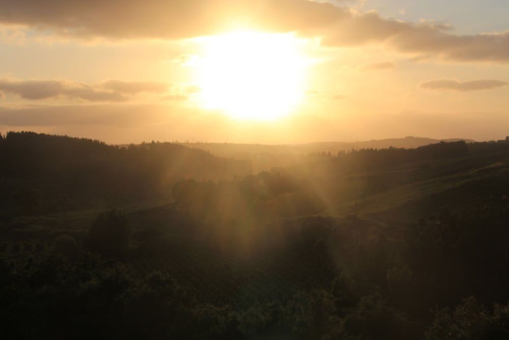 Terra Luso Double Room, Hill View (4) 9