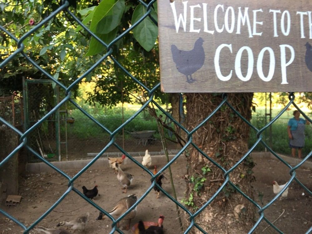 undefined Lovely 6-bed Cottage in Braga Enjoy and Relax