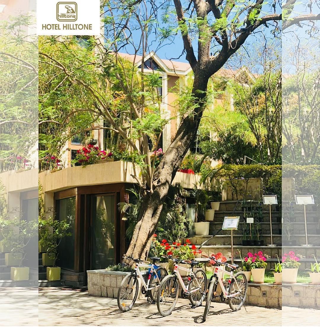 undefined Hotel Hilltone 10