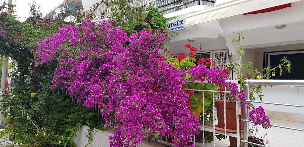 undefined Ozgun Apart Hotel 4