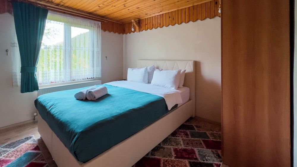 Abant Zumrut Dag Evi Business Chalet, 3 Bedrooms, Fireplace, Mountain View 3