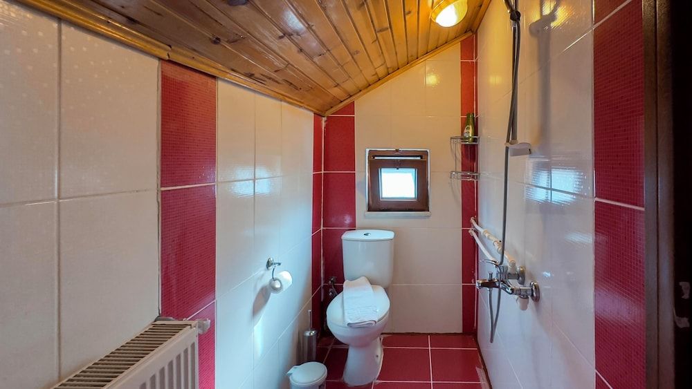 Abant Zumrut Dag Evi Business Chalet, 3 Bedrooms, Fireplace, Mountain View 6