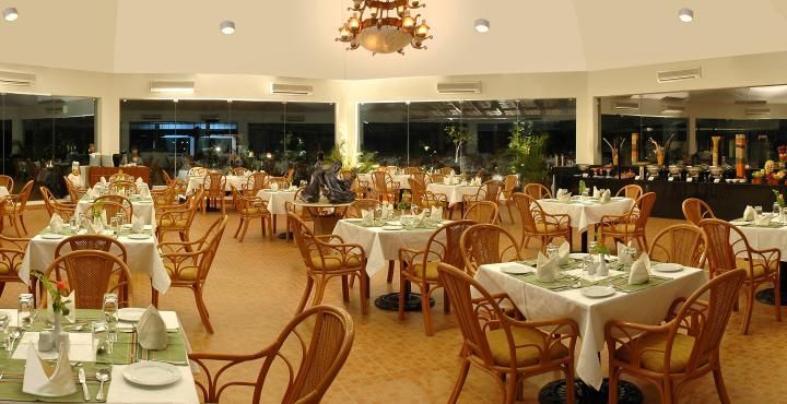 Food & Dining