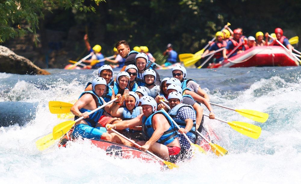 undefined Kolibry Hotel 5