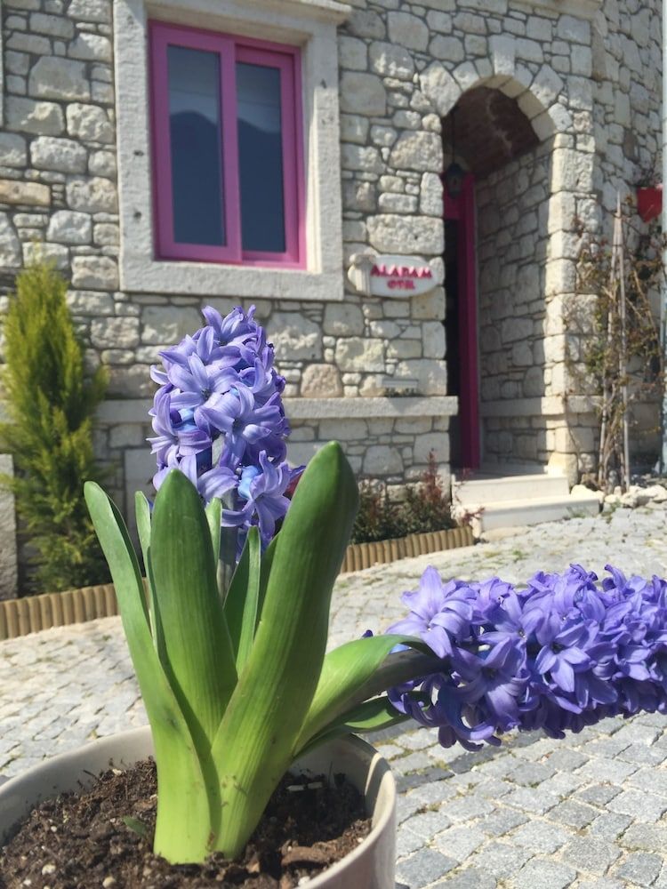 undefined Aladam Otel 2