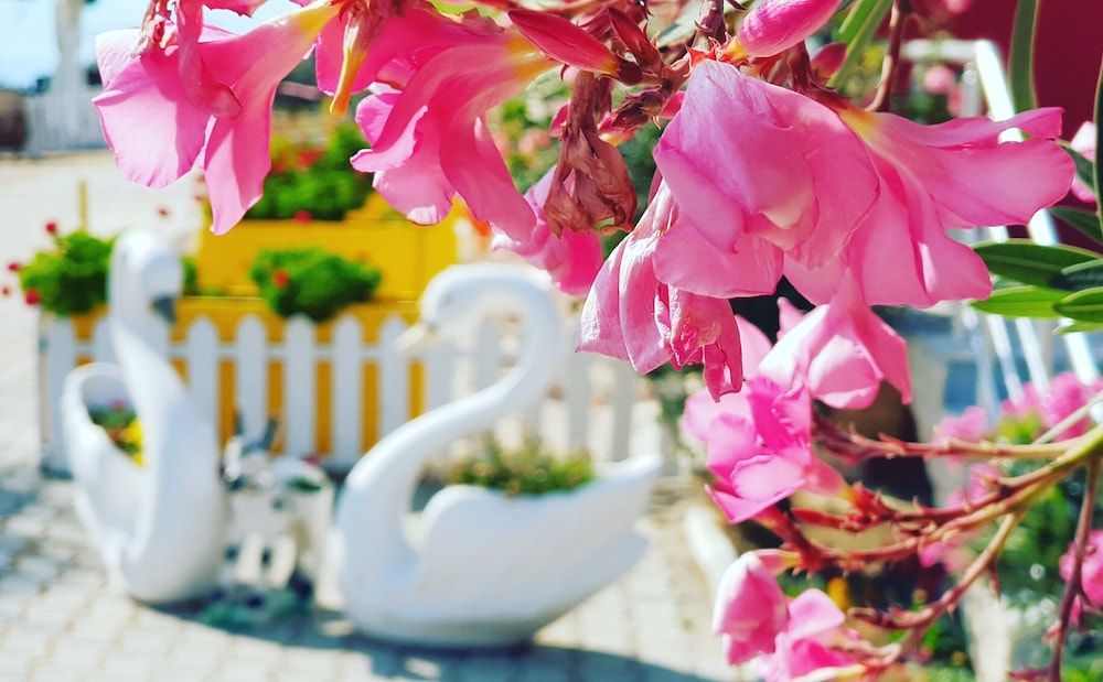 undefined Ciftlik Butik Hotel 10