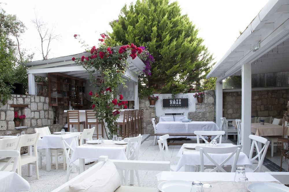 undefined Hazz Oda 8