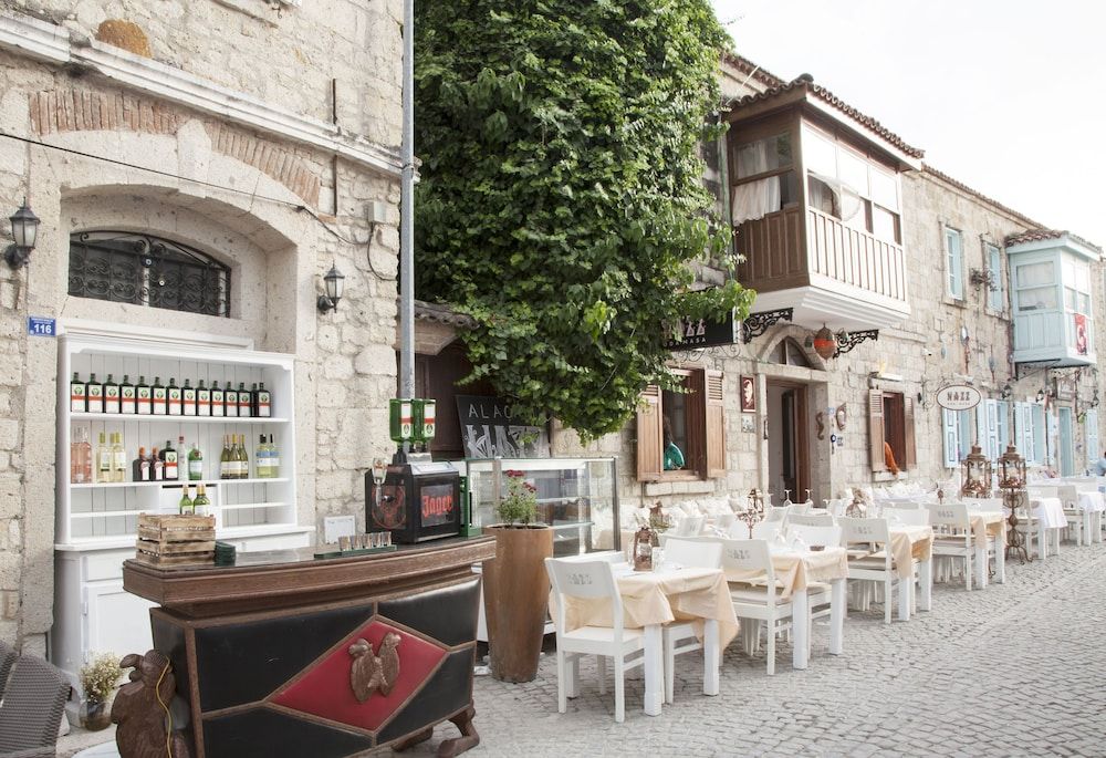 undefined Hazz Oda 6