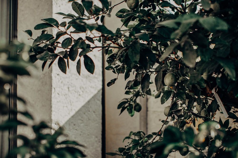 undefined Bernadet Alaçatı 9