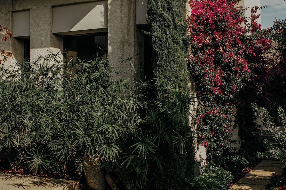 undefined Bernadet Alaçatı 8