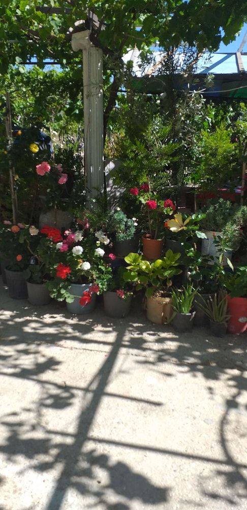 undefined Seda Pansiyon 6