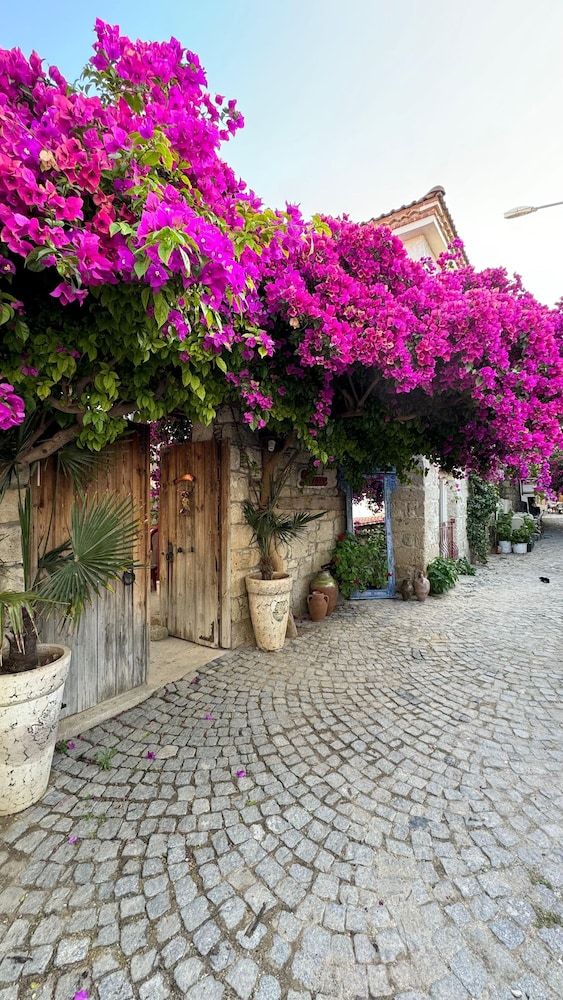 undefined Filizce Alacati 5