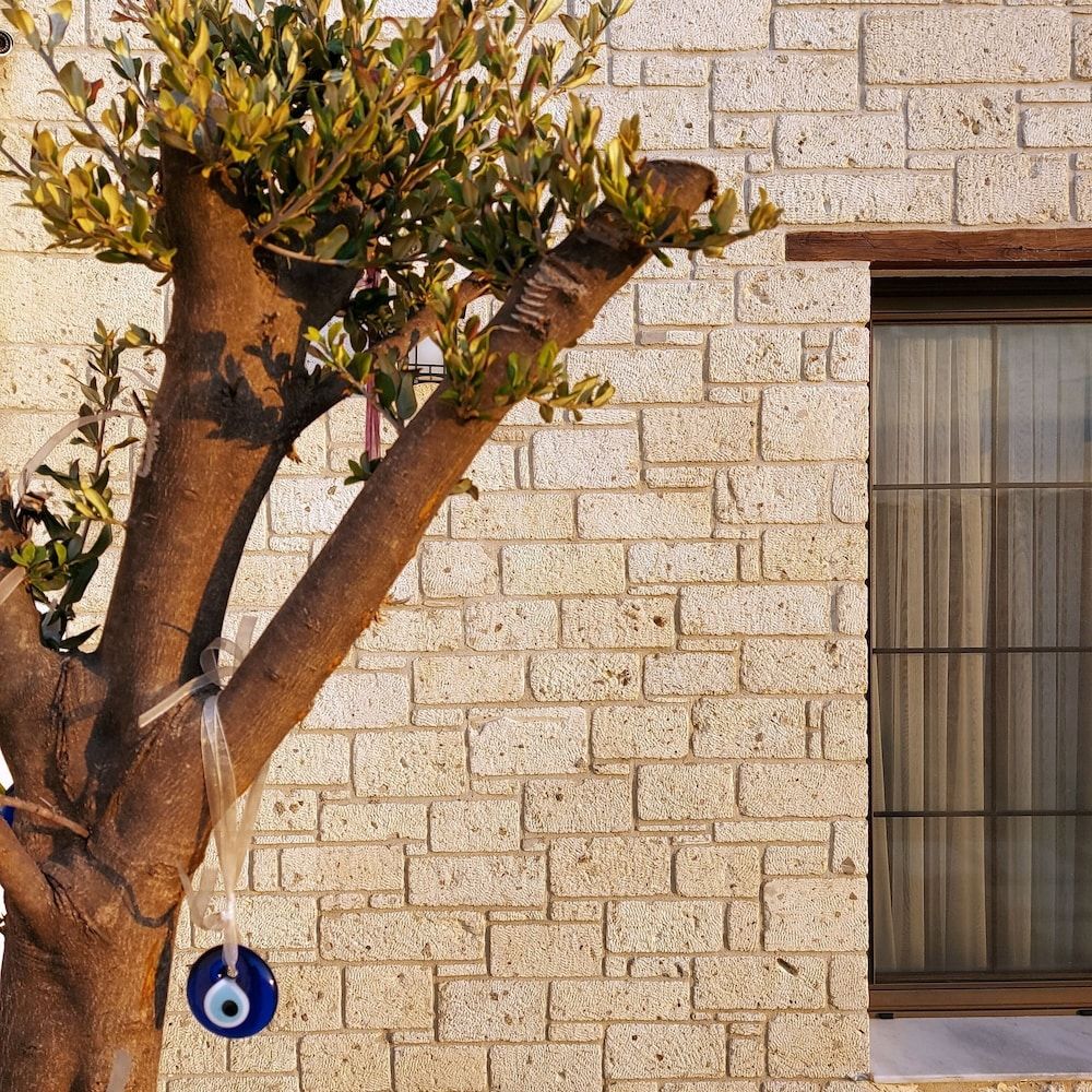 undefined Vahide Dalyan 5