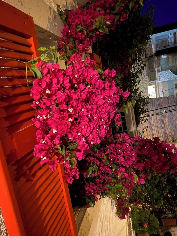 undefined Bademici Otel 2